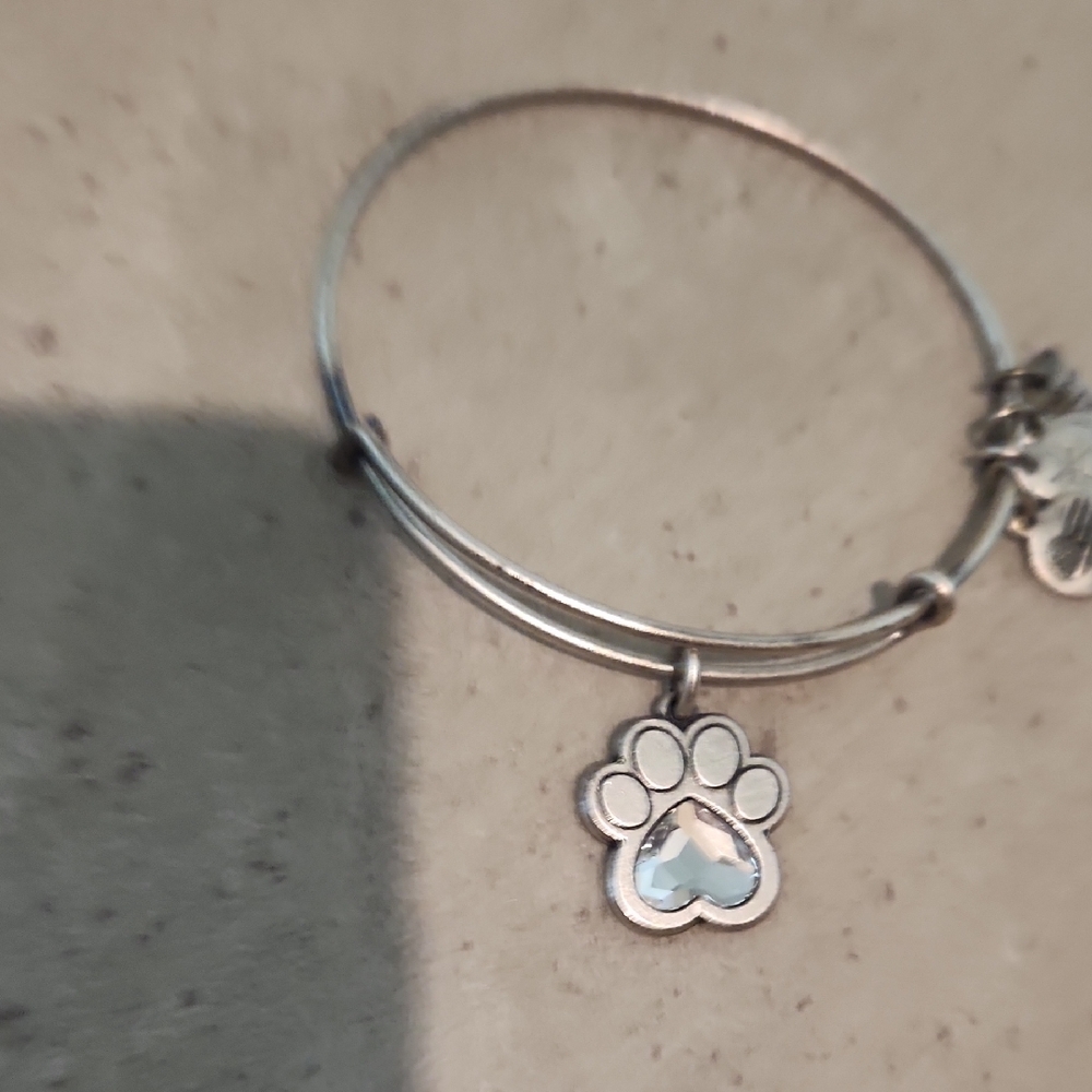 Alex and Ani Silver Paw Charm Bracelet with Light Blue Crystal